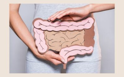 Darmtherapie: Weshalb ein Blick auf den Zustand des Darms so wichtig ist