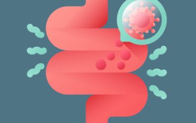Leaky Gut Syndrom: Wie ein undichter Darm unsere Gesundheit beeinträchtigt