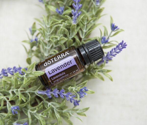 doTERRA Lavendel